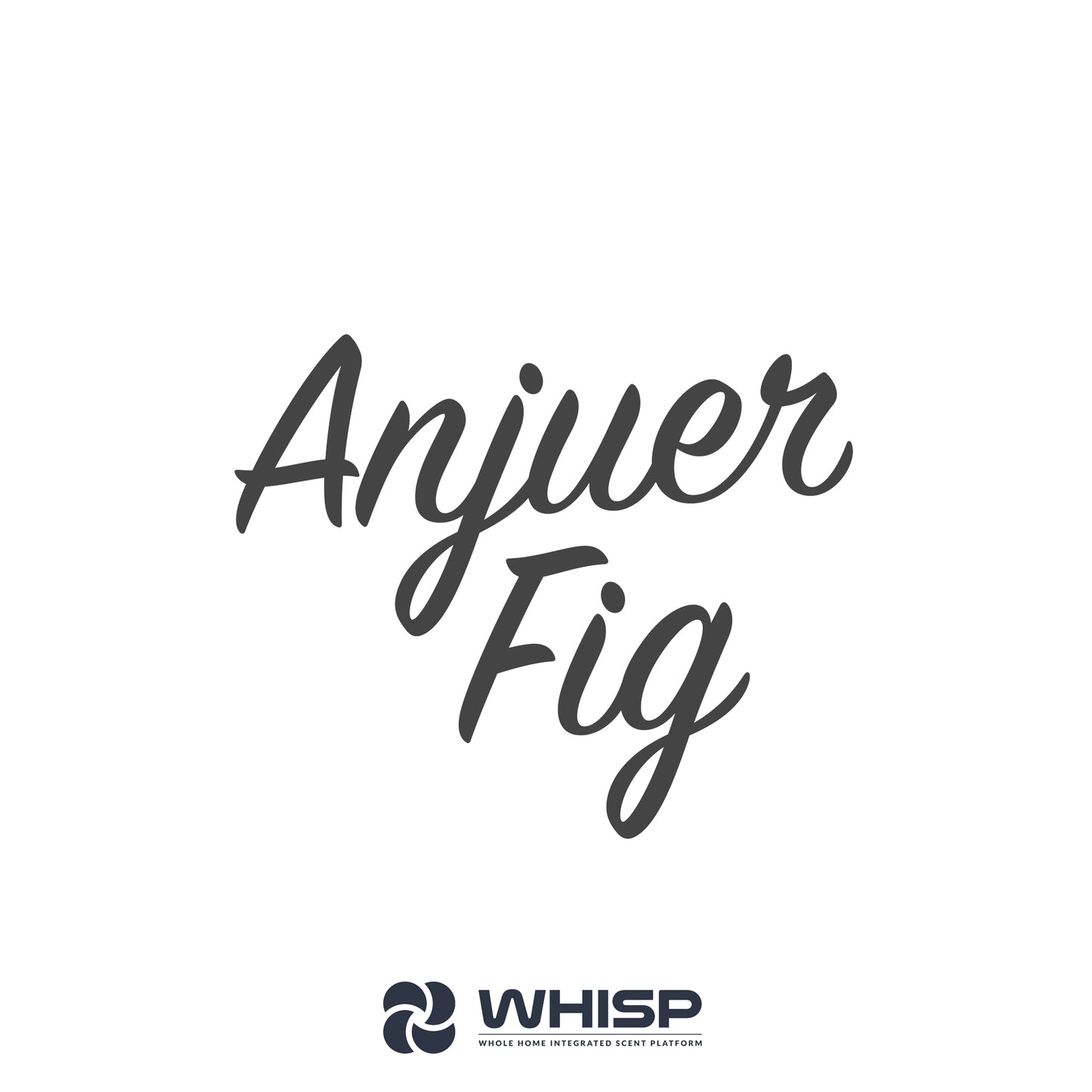 Anjuer Fig