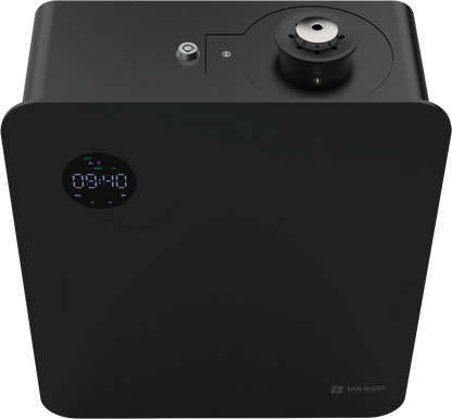Whisp 30